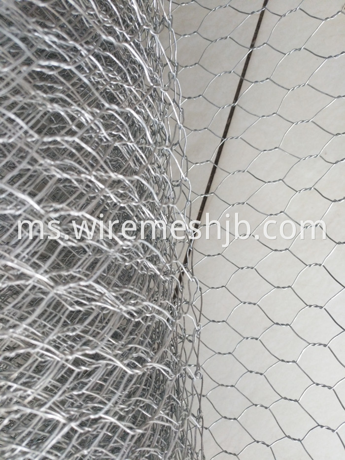 Hexagonal Mesh Fence